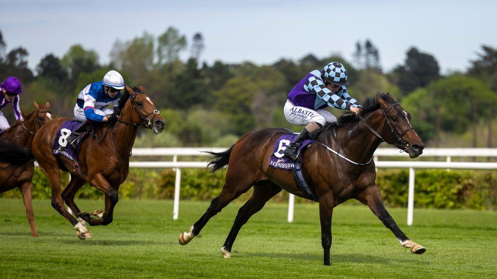 Sprewell: an emphatic winner of the Group 3 Derby Trial Stakes at Leopardstown