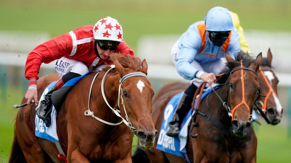 Saffron Beach (red): 1,000 Guineas runner-up steps up markedly in trip for Oaks test