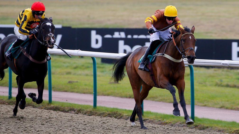 Peggies Venture: a big run is expected at Kempton by our Lambourn correspondent