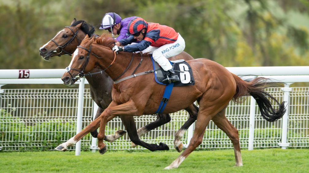 Prince Alex (far side): narrow winner at Goodwood on Saturday