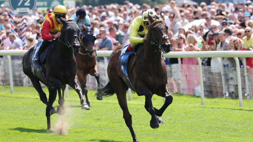 Without A Fight: impressive winner at York last time