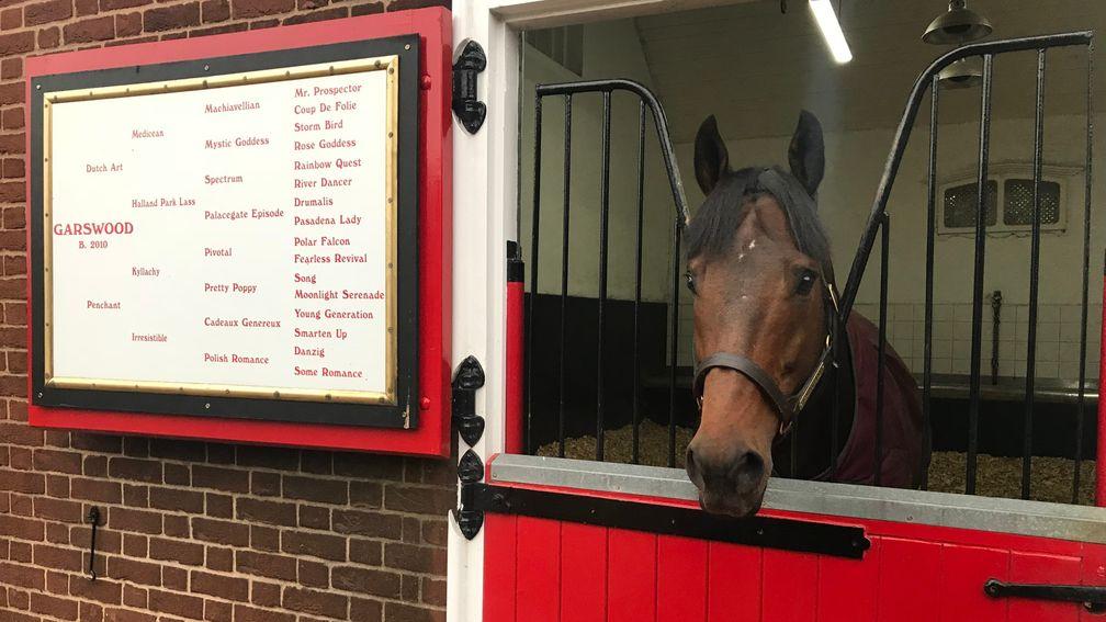 Garswood: stands at Cheveley Park Stud at a fee of £4,000