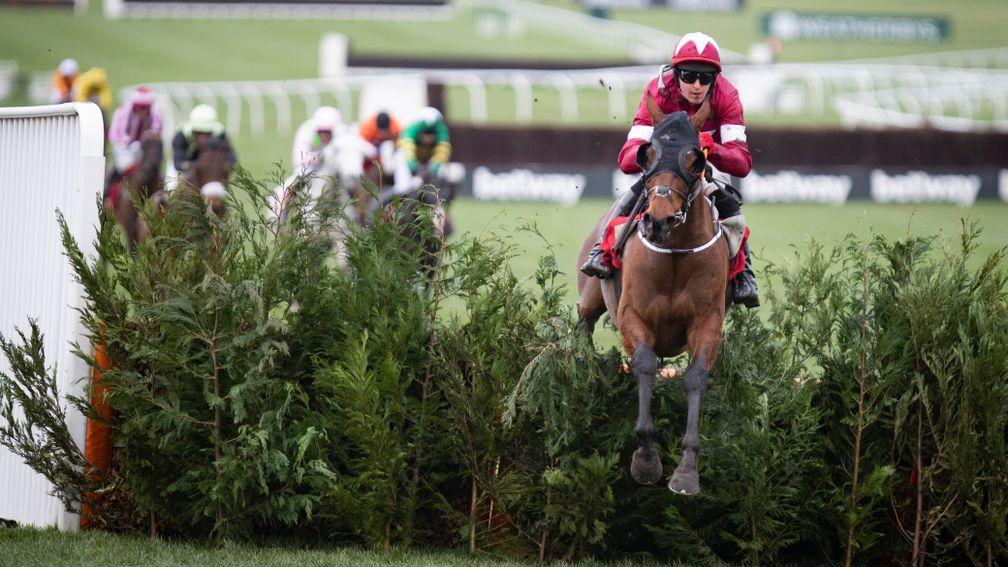 Tiger Roll: has won at the Cheltenham Festival four times, including twice in the Glenfarclas Chase