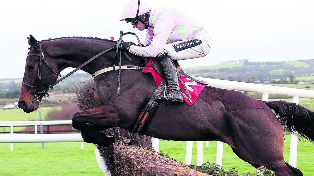 Djakadam is 'old enough and man enough', says trainer Willie Mullins
