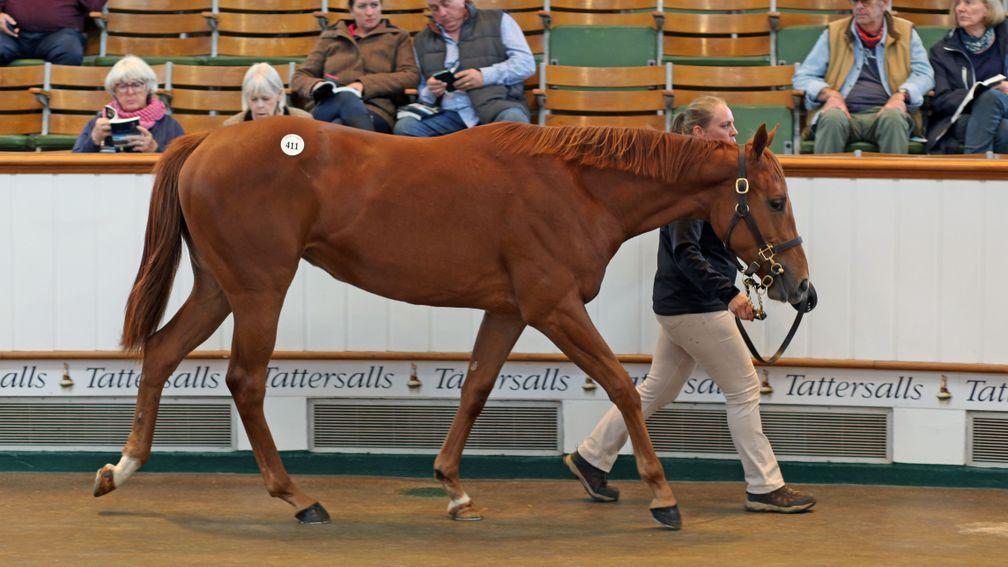 Lot 411: the Sea The Stars filly out of Best Terms sells to Godolphin for 1,500,000gns