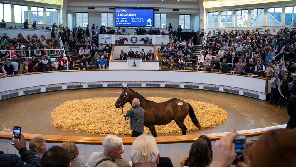 Darain sells for 3,500,000gns to David Redvers at Book 1 in 2018
