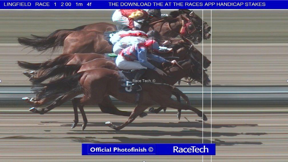 The official photo-finish print showing the three-way go in which Thorn and Highway One dead-heated at Lingfield