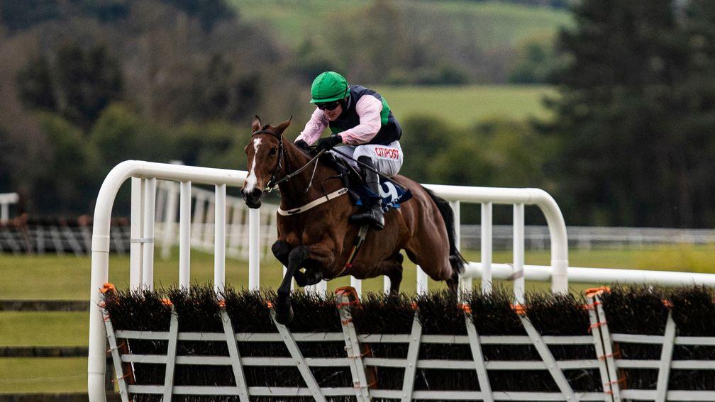 Stormy Ireland gained Grade 1 honours in incredible style at Punchestown