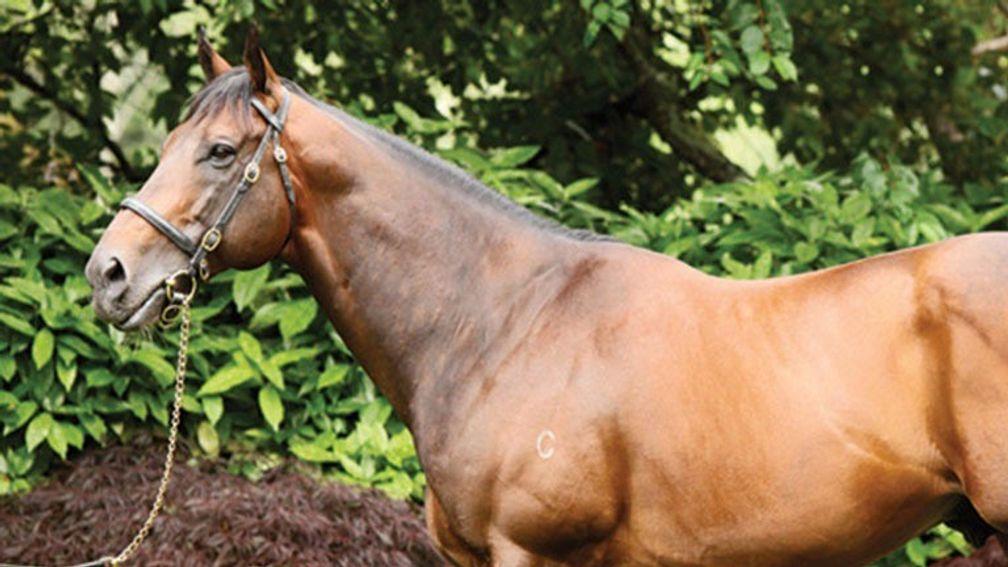 Fastnet Rock: a regular port of call for owners of high-class Galileo mares