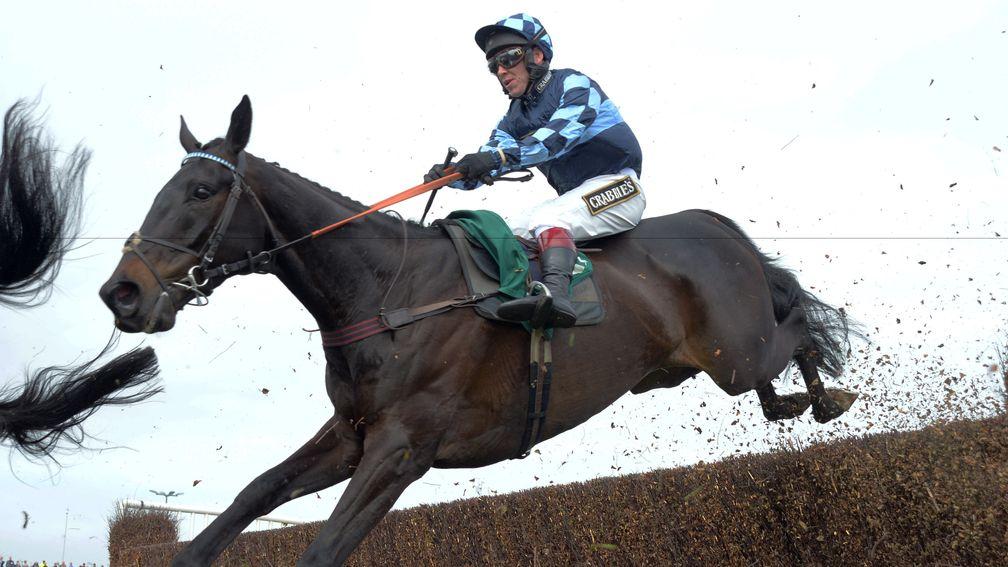 Garde La Victoire: has been aimed at the Haldon Gold Cup for some time