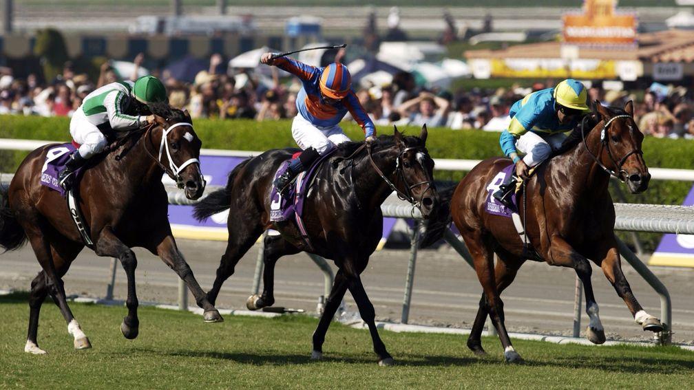 Darryll Holland finishing third on Falbrav (right) behind deadheaters High Chaparral (centre) and Johar in the 2003 Breeders' Cup Turf at Santa Anita