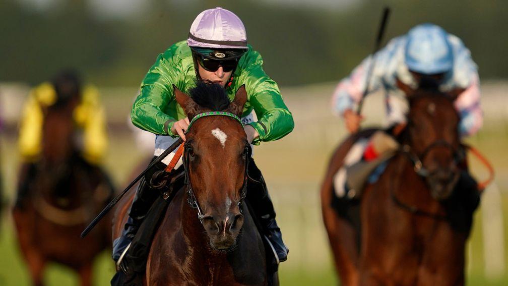 Boomer: the Group 3-winning daughter of Kingman will visit Lope De Vega for her first covering
