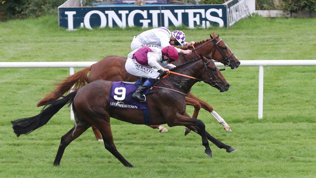 He Knows No Fear (near side, Chris Hayes) gets up on the line to become a record-breaking 300-1 winner at Leopardstown