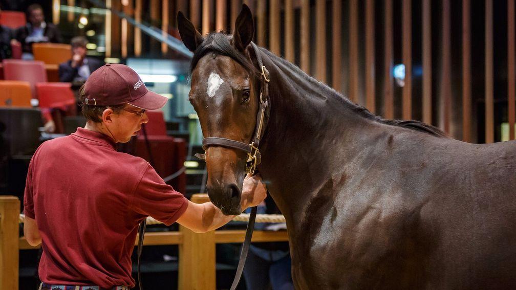The Dabirsim filly who was snapped up by Charlie Gordon-Watson for 500,000gns
