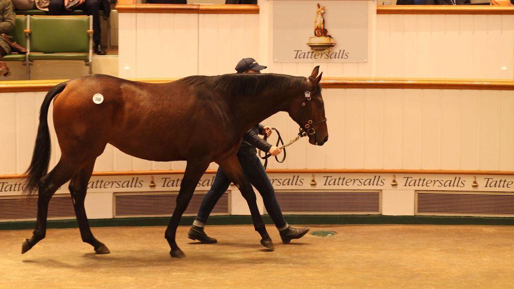 The Kingman filly sold to Moyglare Stud for 1,700,000gns