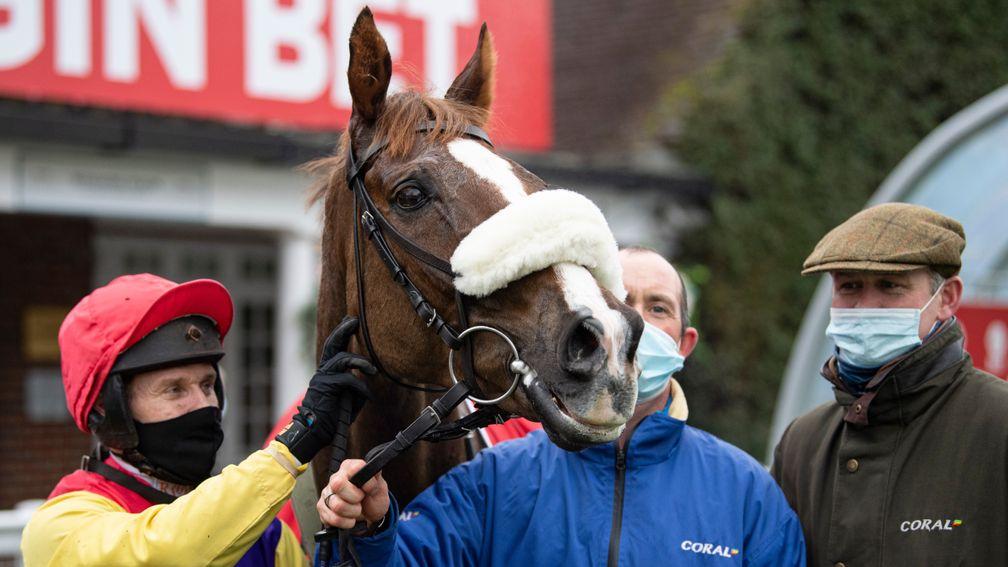 Ears pricked: Native River poses for the camera in the winner's enclosure after landing the Cotswold Chase
