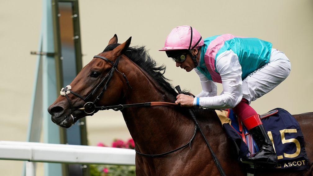 Sangarius: one of the big names on show at Haydock