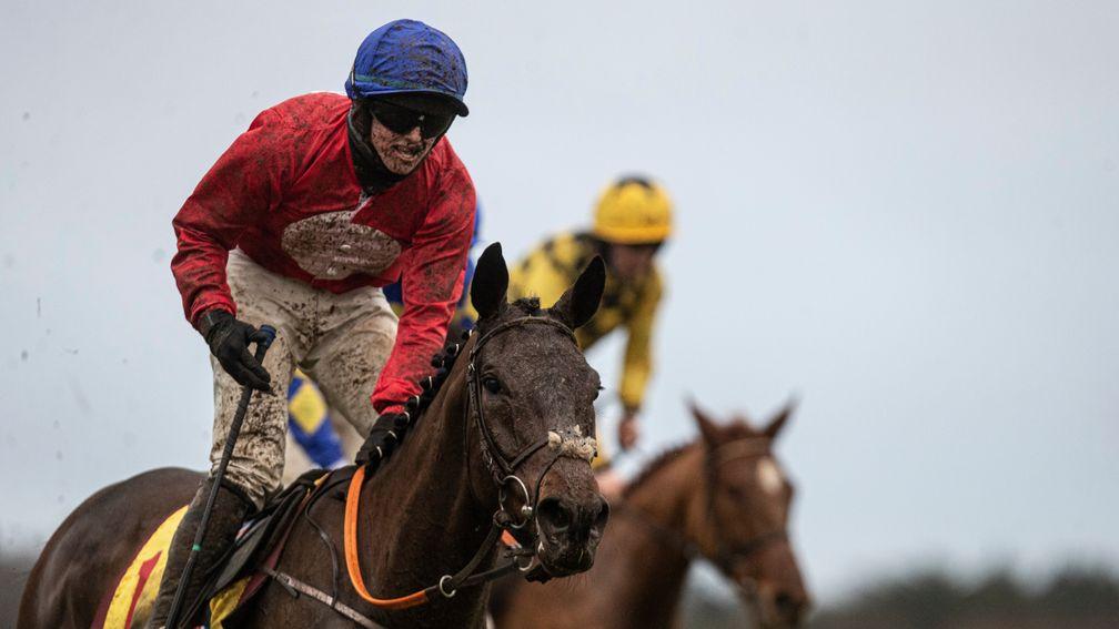 A Plus Tard: leading Gold Cup contender