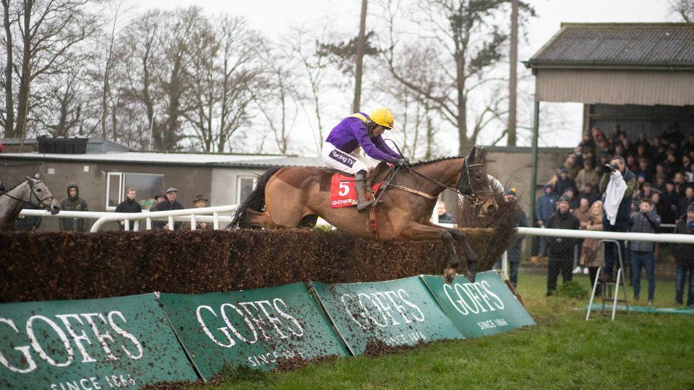 Cilaos Emery: a general 8-1 shot for the Arkle