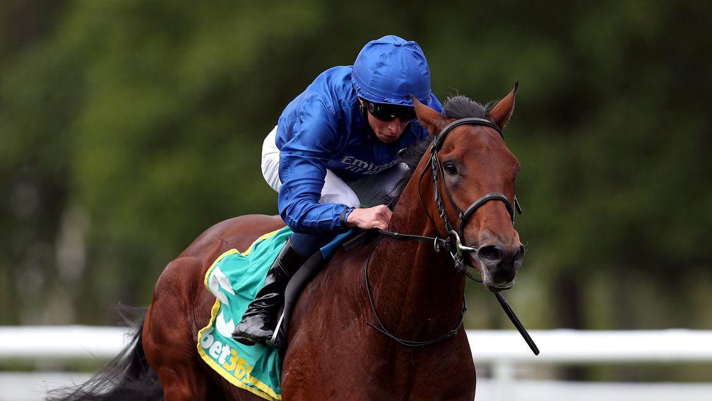 Master Of The Seas: boasts leading claims in the Goffs Vincent O'Brien National Stakes