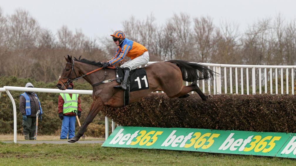 Fire Away: was heavily punted before winning at Musselburgh, the first leg of a big treble