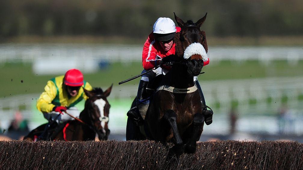 The Druids Nephew: Neil Mulholland-trained chaser retired