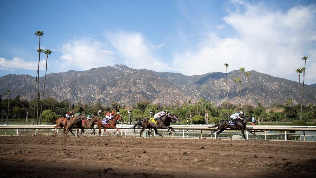 The San Gabriel mountains form the classic backdrop to the 2019 Breeders' Cup Sprint at Santa Anita won by Ricardo Santana jnr and Mitole (4)