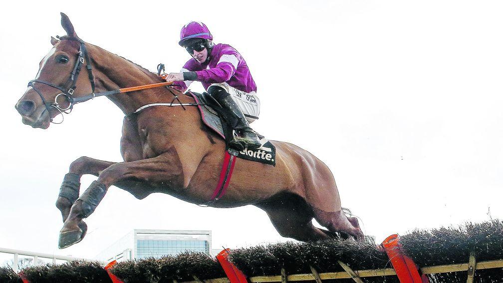 Samcro: steps out of novice company at Punchestown on Friday