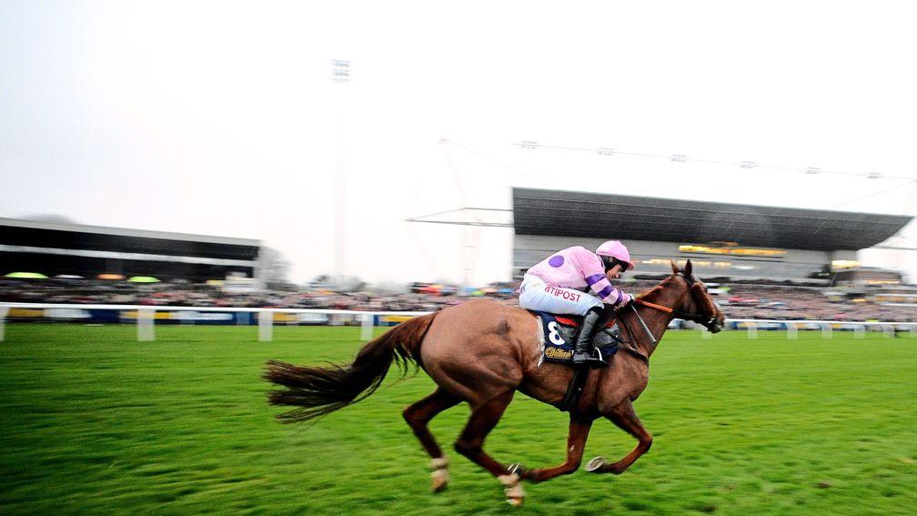 Silviniaco Conti: peaked when winning the 2014 King George says Noel Fehily