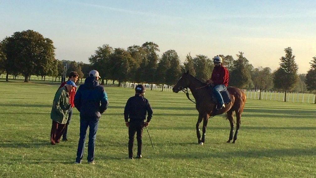 Pretty Pollyanna is surveyed by left to right Bill Gredley, Tim Gredley, Michael Bell and Silvestre de Sousa after her workout