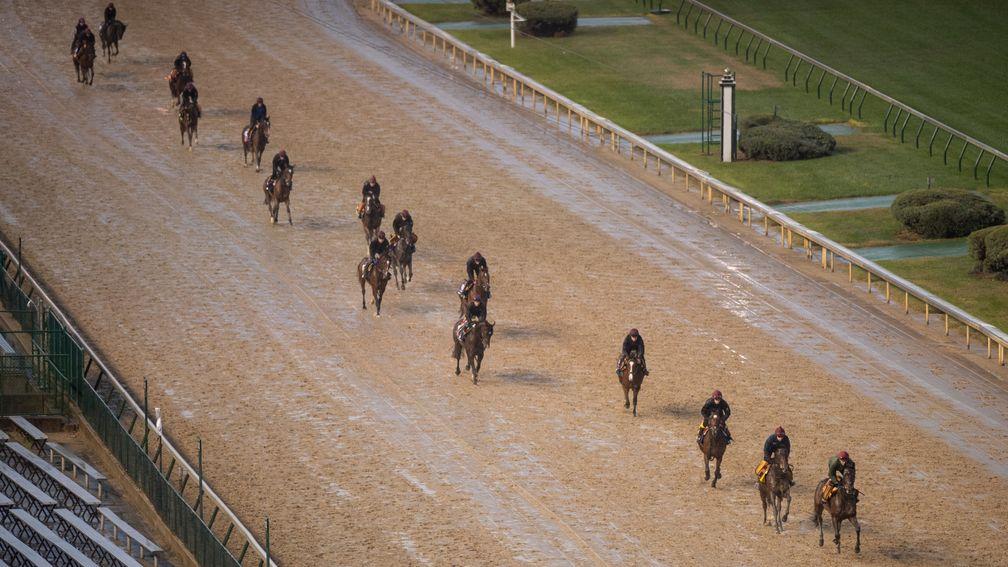The Breeders' Cup returns to Churchill Downs this year