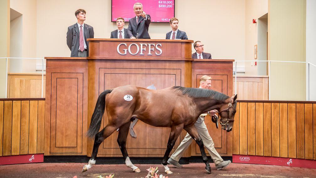 The £380,000 Gleneagles colt in the Doncaster sales ring