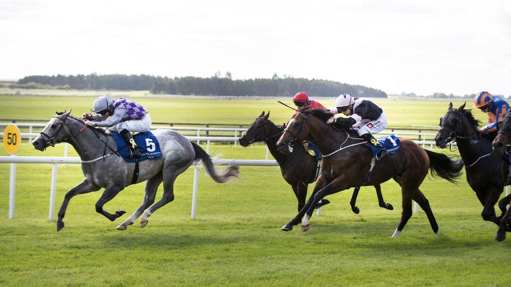 Havana Grey and Richard Kingscote are not for catching in the Flying Five Stakes at the Curragh