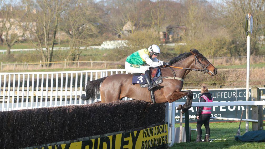 Hill Sixteen : Bids to follow up his recent chase win at Ffos Las Photograph by Grossick Racing Photography 0771 046 1723