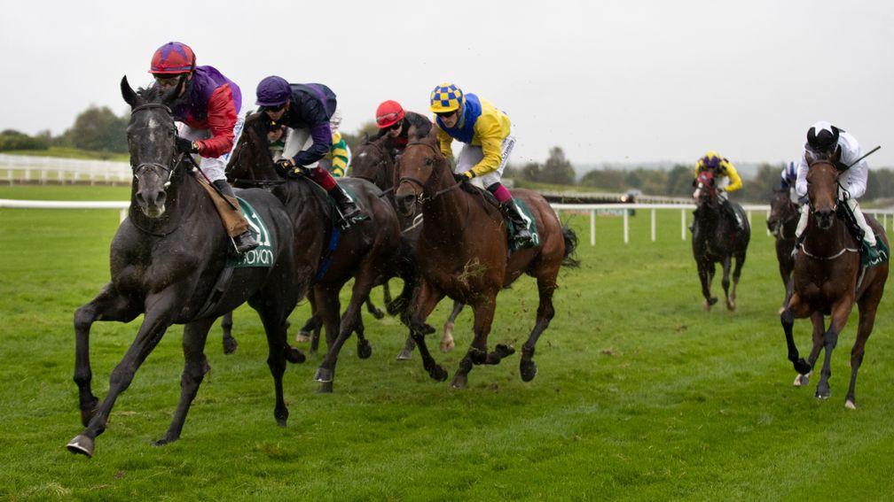 Sounds Of Spring put up a smart performance when winning at Navan on Wednesday
