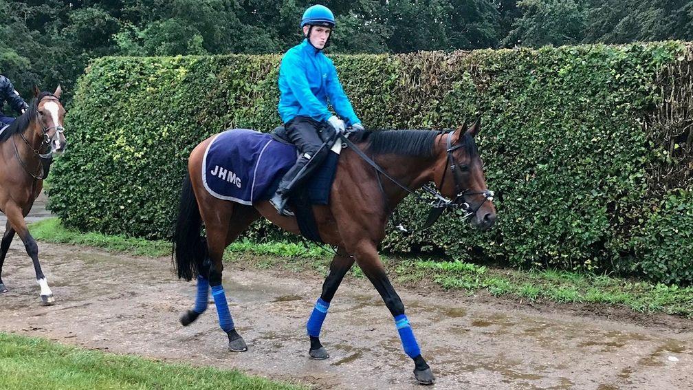 David Egan is reunited with Mishriff for his last piece of work before the Coral Eclipse