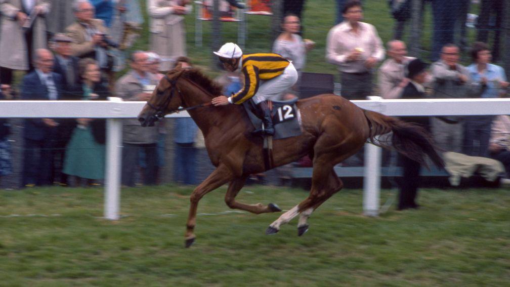 Stanerra wins the 1983 Hardwicke Stakes at Royal Ascot