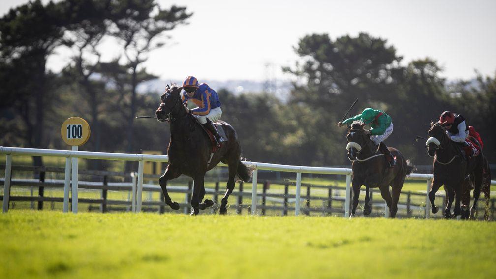 Persia wins at Galway