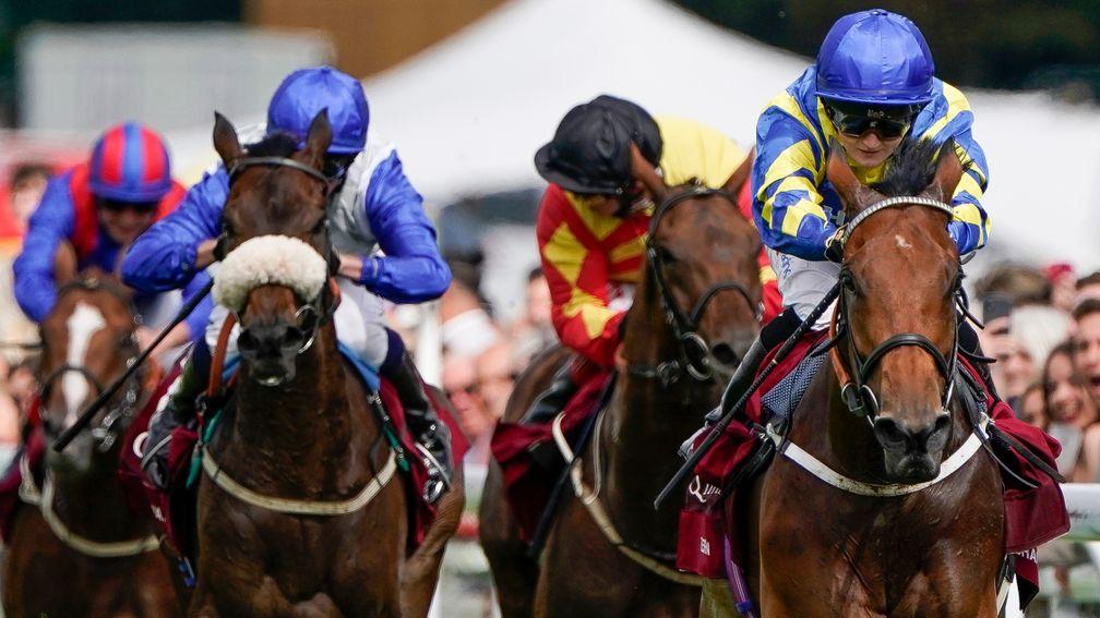 Away He Goes (left): chased home Trueshan in the Goodwood Cup on Tuesday