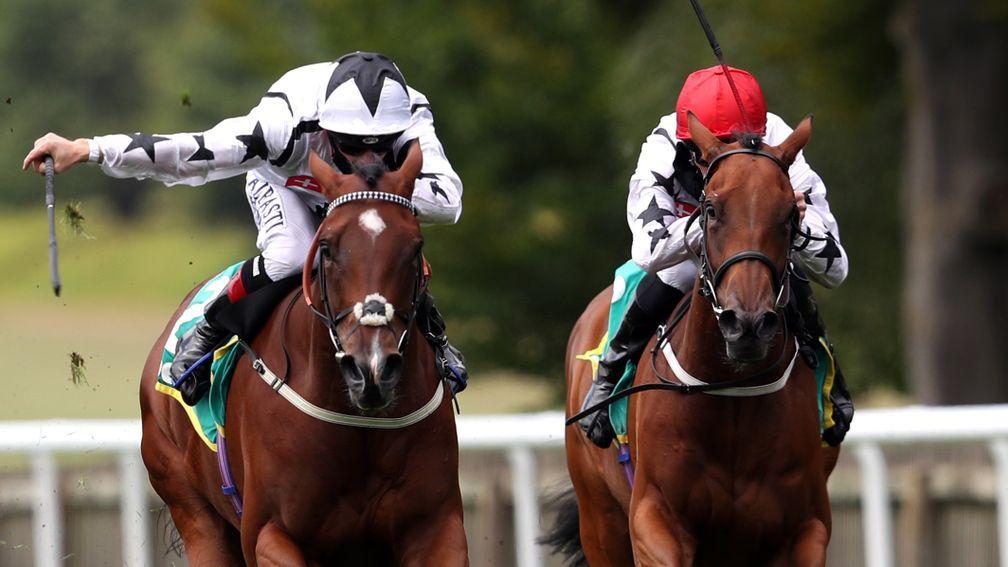 Fev Rover (right) won last year's Star Stakes