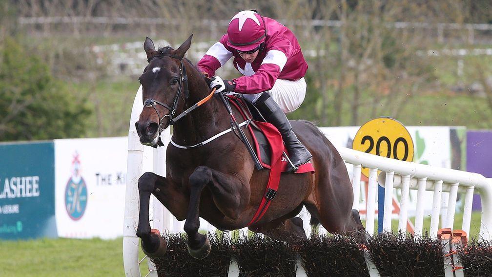 Apple's Jade: a significant transfer from Willie Mullins to Gordon Elliott