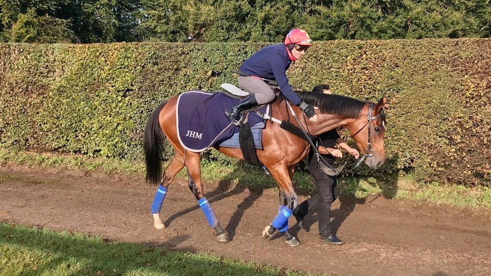 Enable and Frankie Dettori before their workout
