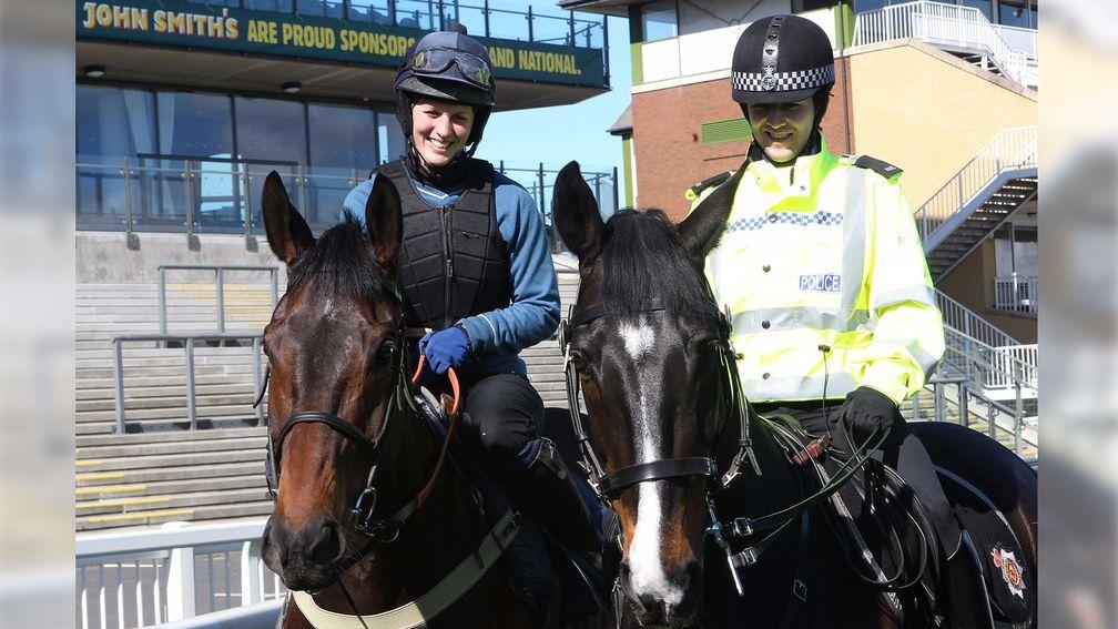 Big Fella Thanks and Merseyside Police horse Jaguar - who's the smartest?