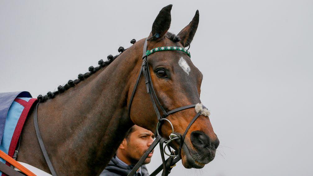 Altior: could be a modern-day game-changer, says Andrew Scott