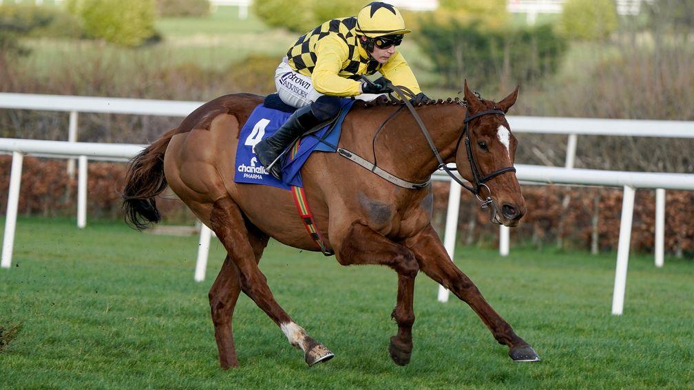 State Man: needs to be ridden more aggressively in the Champion Hurdle