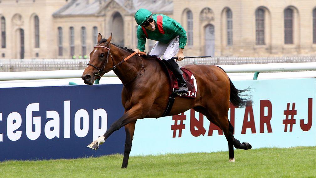 Vadeni: France's leading challenger for the Arc at this stage