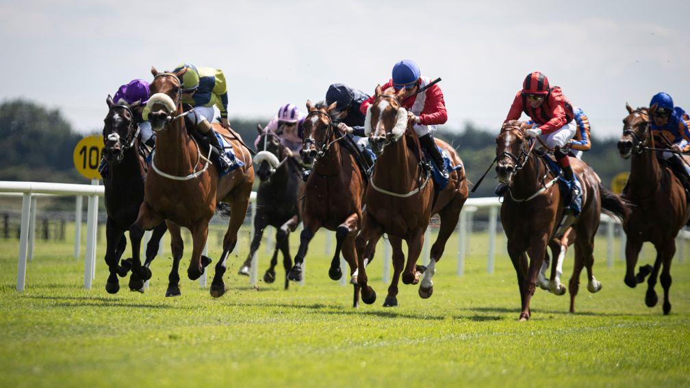 Fairyhouse: stages the Listed Ballyhane Blenheim Stakes at 5.10