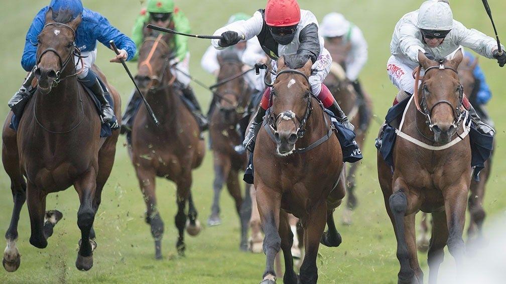 Cracksman fights out the finish to the Investec Derby Trial with Permian (far right)