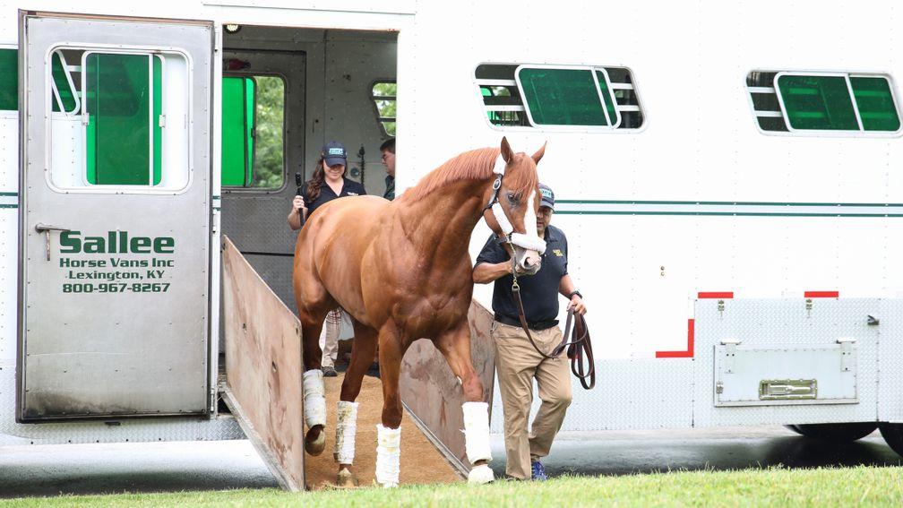 Justify, still in peak condition from being in training, steps off the horse lorry