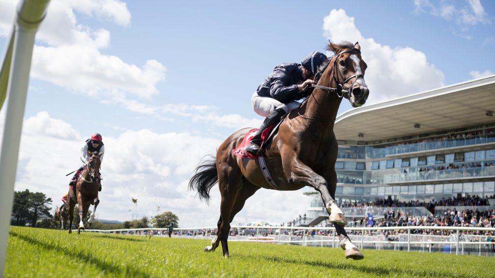 Amedeo Modigliani: a really eyecatching winner at Galway on Saturday